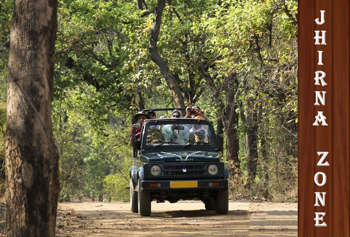 Jungle Safari in Jhirna Zone 